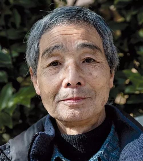 Tadao Tsuge