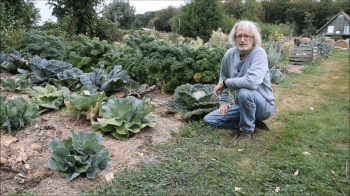 Didier Helmstetter