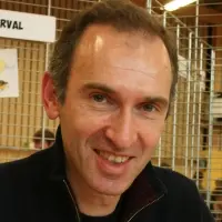 Herval