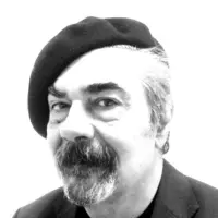 M. Vincenti