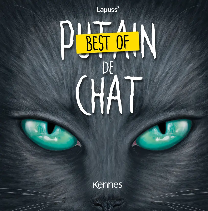 Couverture de l'album Putain de chat Best of