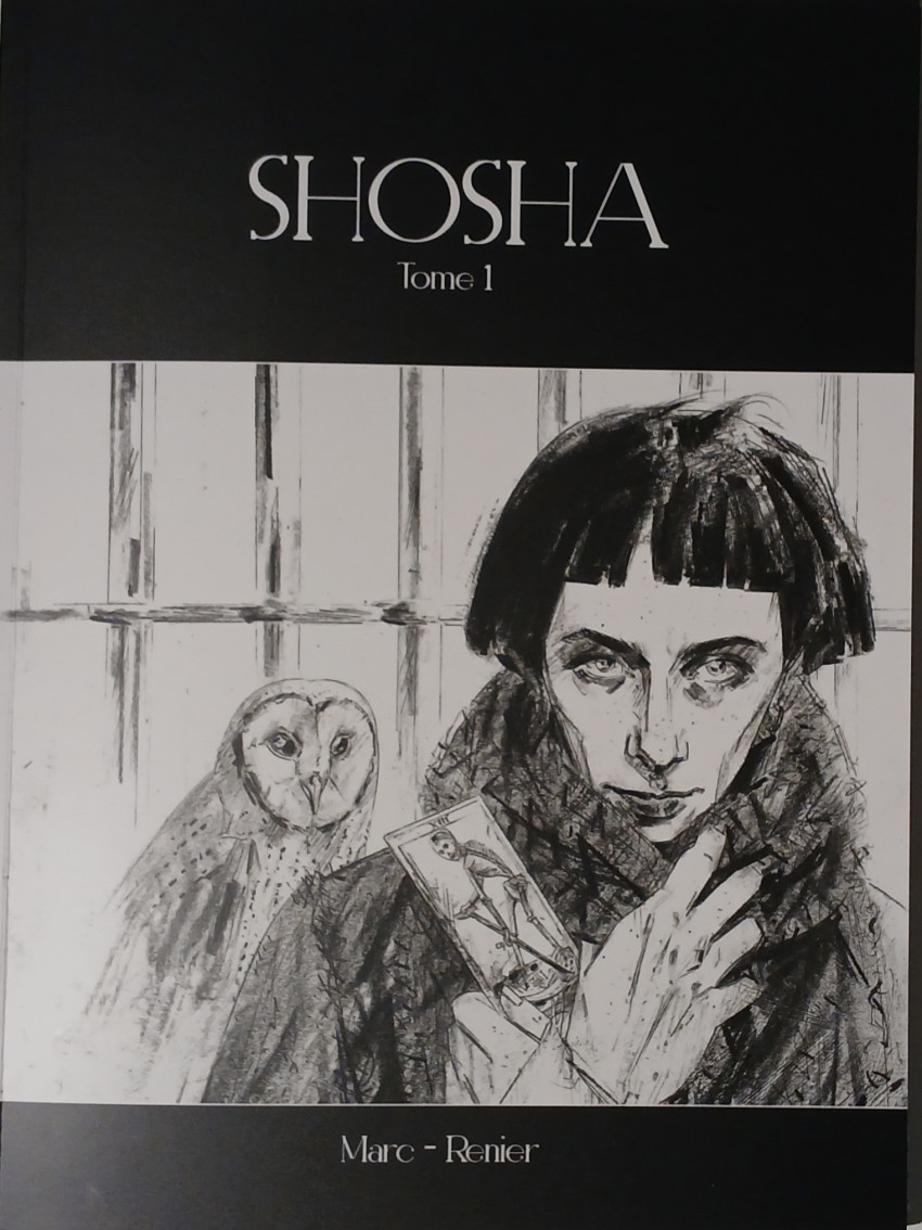 Couverture de l'album Shosha