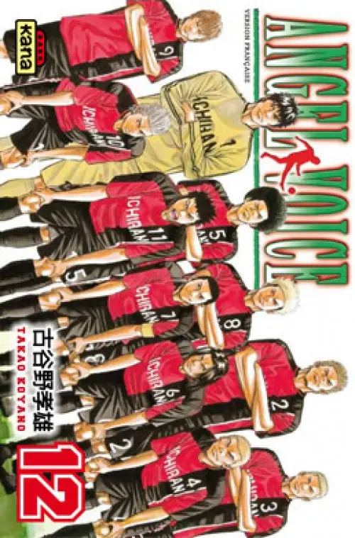 Couverture de l'album Angel Voice 12