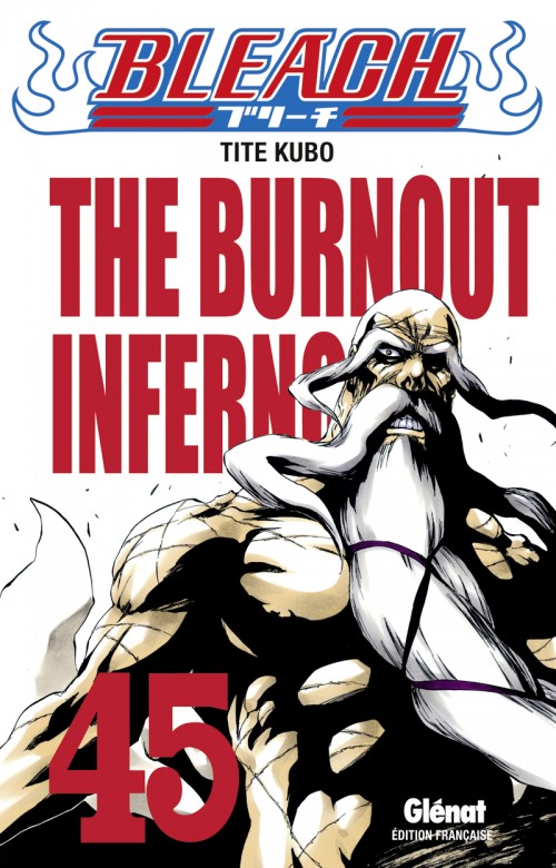 Couverture de l'album Bleach Tome 45 The Burnout Inferno