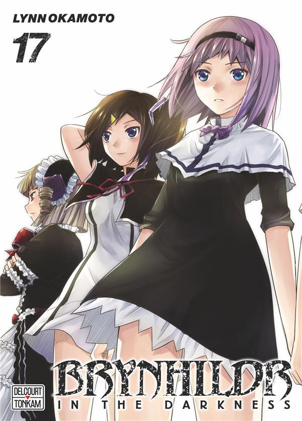 Couverture de l'album Brynhildr in the Darkness 17