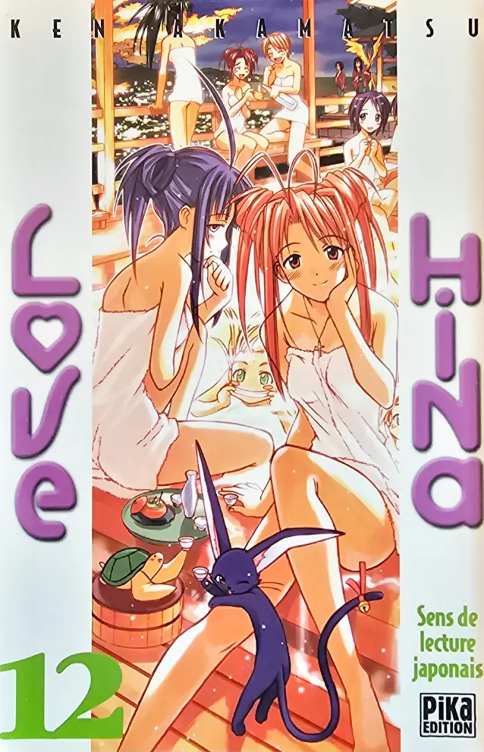 Couverture de l'album Love Hina 12
