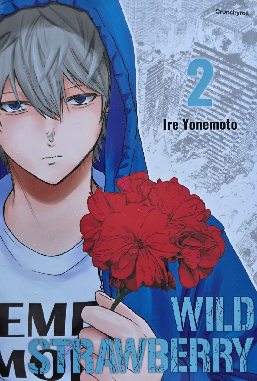 Couverture de l'album Wild Strawberry 2