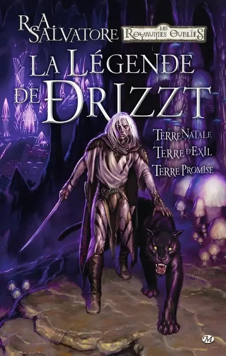 Couverture de l'album La Légende de Drizzt