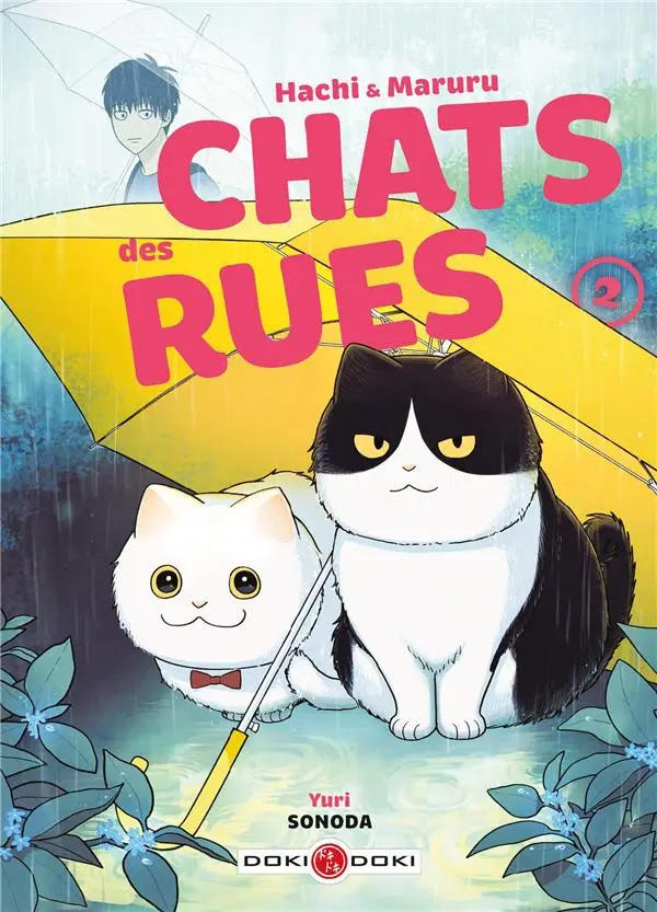 Couverture de l'album Hachi & Maruru - Chats des rues 2
