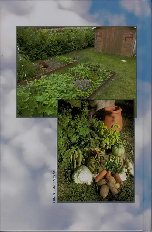 Verso de l'album Variations culinaires Tome 2