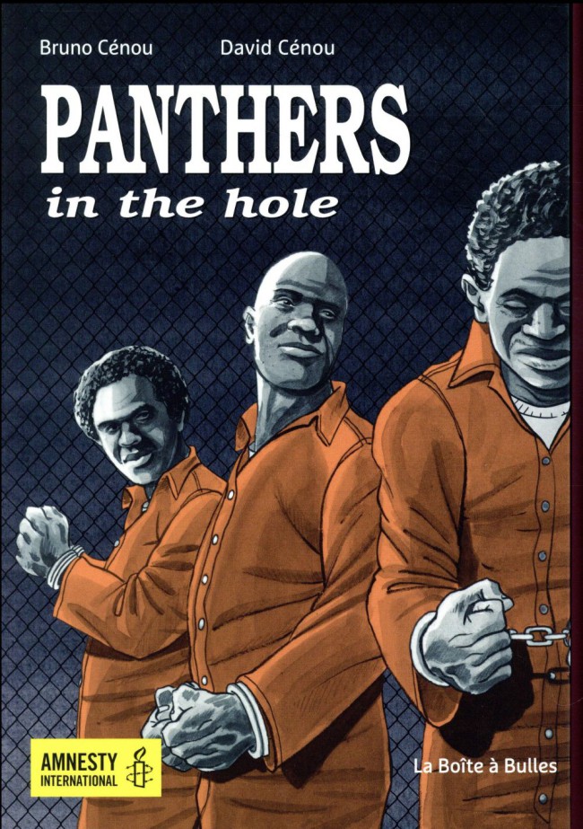 Couverture de l'album Panthers in the hole