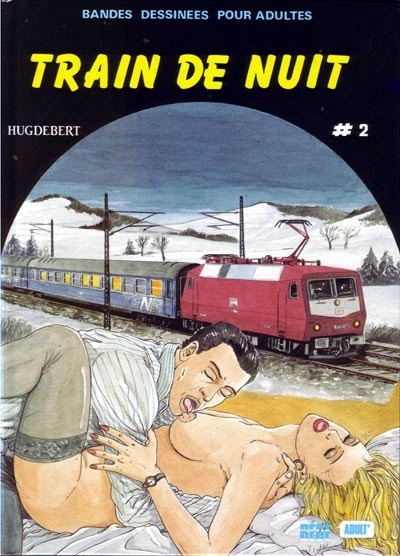 Couverture de l'album Train de nuit Tome 2