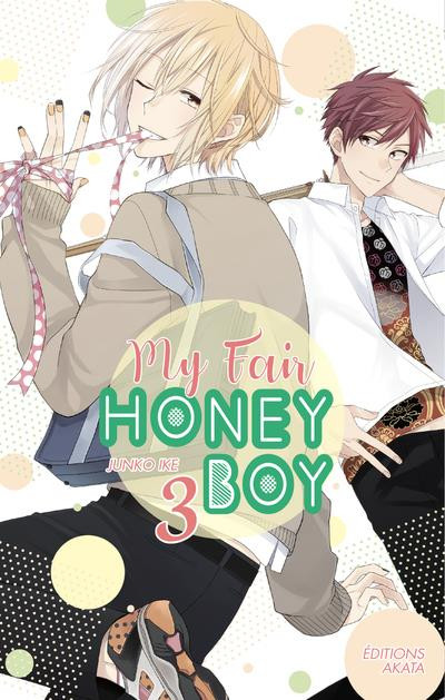 Couverture de l'album My Fair Honey Boy 3