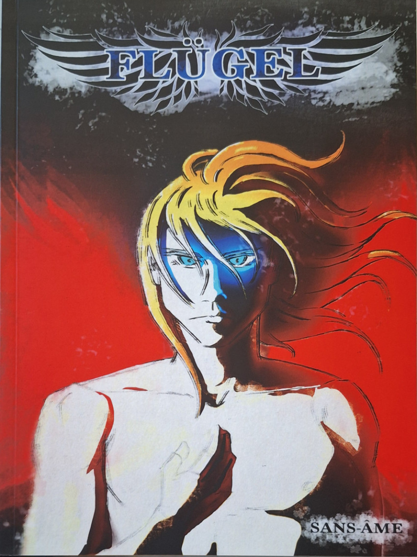 Couverture de l'album Flügel