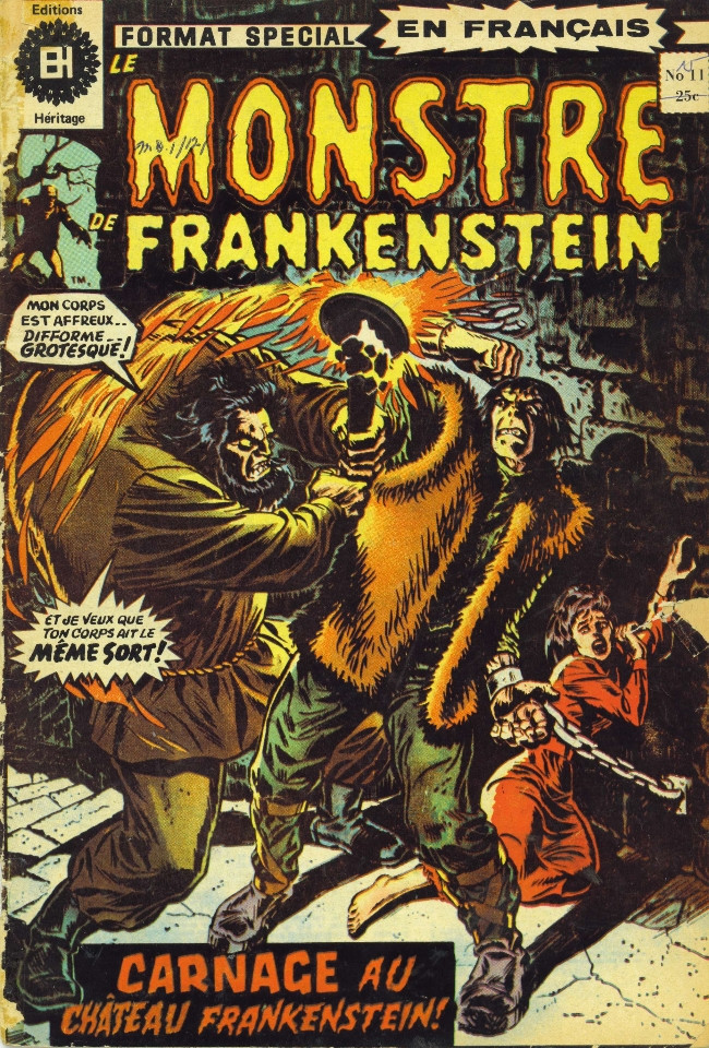 Couverture de l'album Le Monstre de Frankenstein Tome 11 Et à la fin..!?