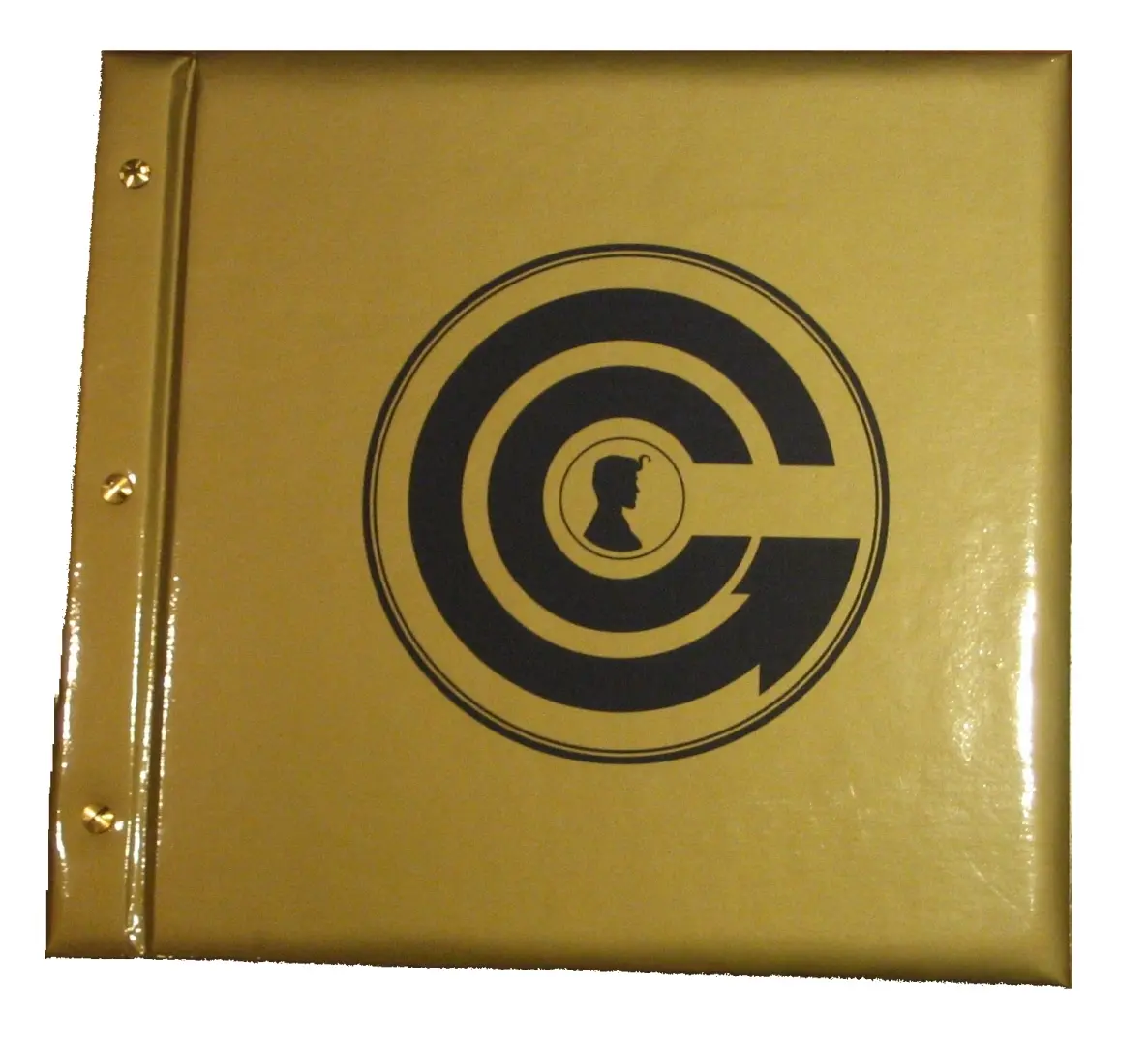 Autre de l'album Golden City Album photo