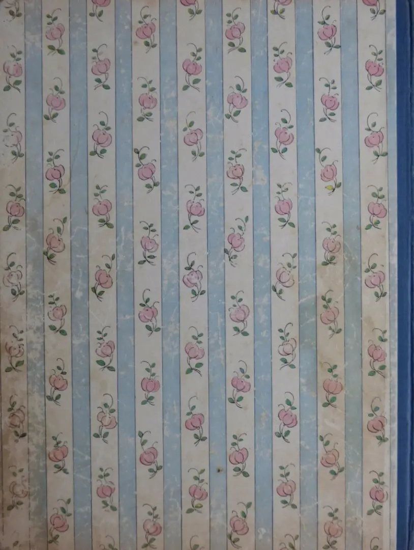 Verso de l'album Bécassine Tome 1 L'enfance de Bécassine