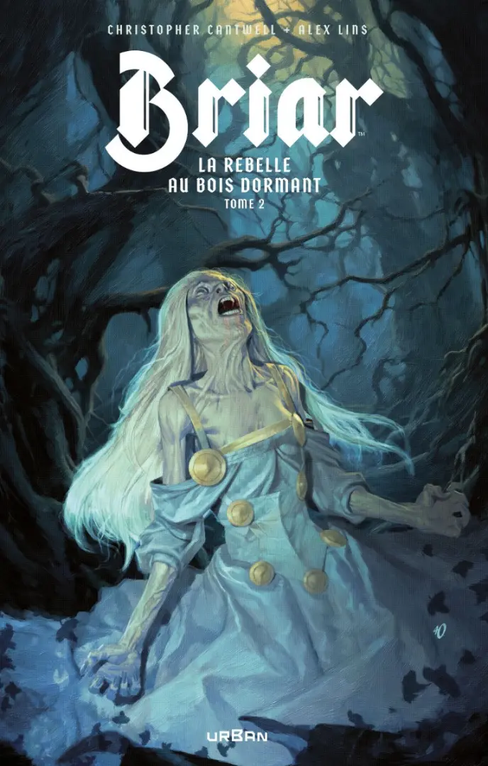 Couverture de l'album Briar Tome 2 La Rebelle au bois dormant