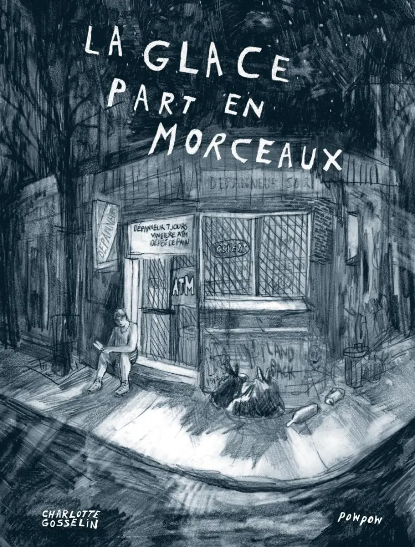 Couverture de l'album La Glace part en morceaux