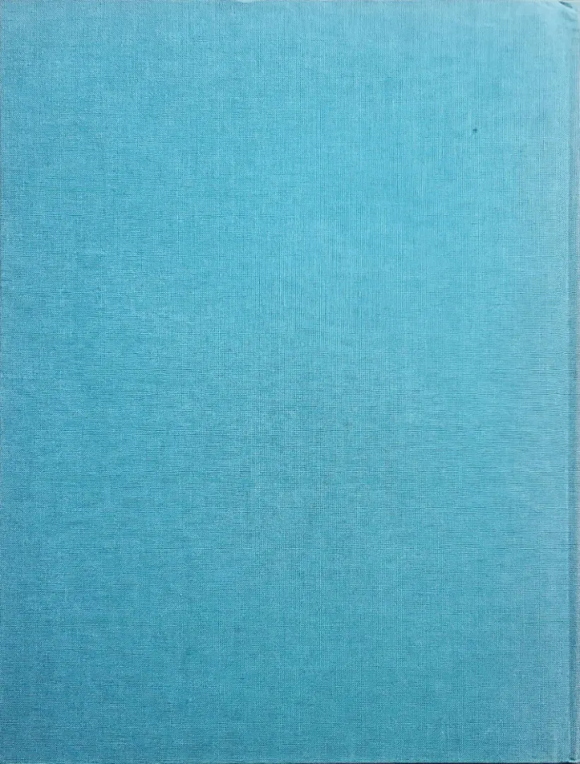 Verso de l'album Moi Svein, compagnon d'Hasting Tome 1 L'initiation