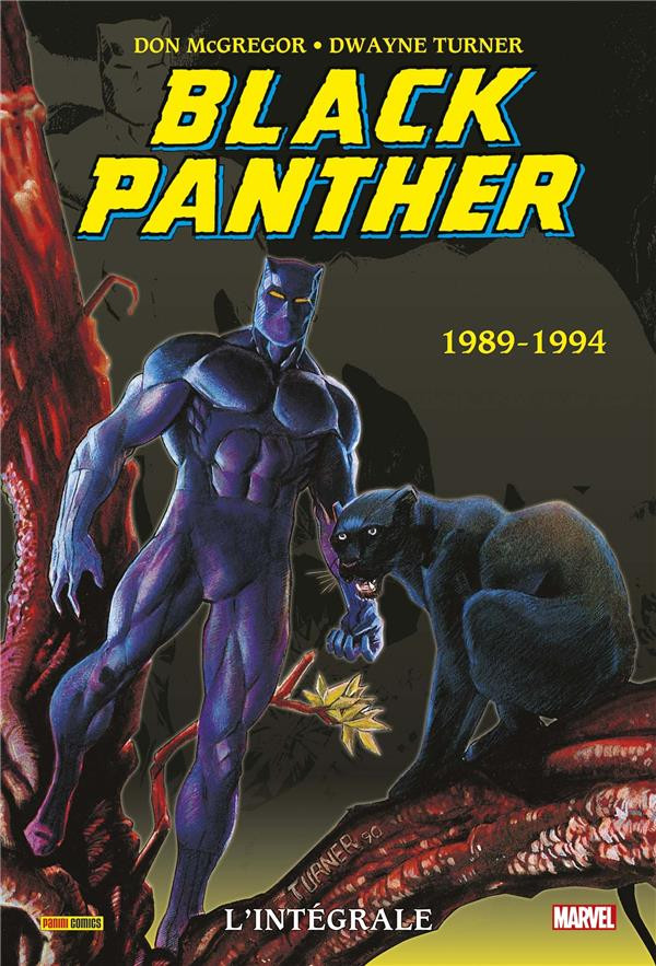 Couverture de l'album Black Panther L'intégrale Tome 5 1989-1994