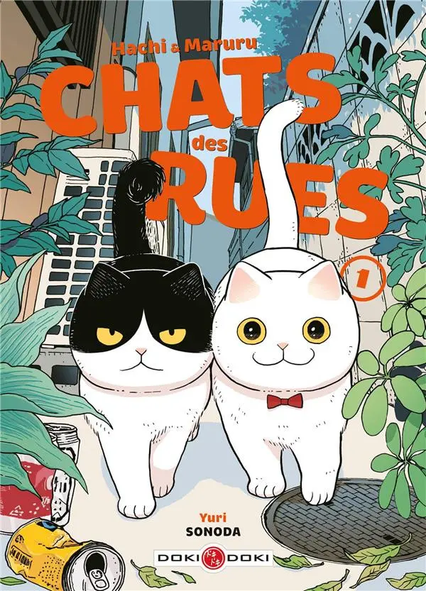Couverture de l'album Hachi & Maruru - Chats des rues 1