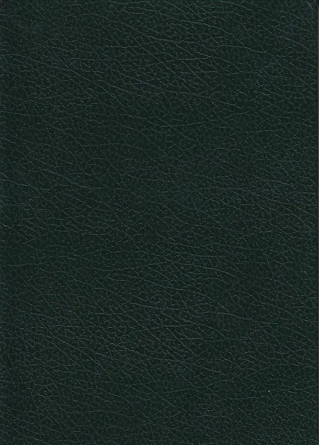 Verso de l'album Freddy Lombard Rapport de la police Royale de Bouillon
