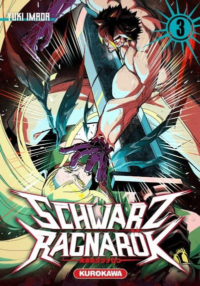 Couverture de l'album Schwarz Ragnarök 3