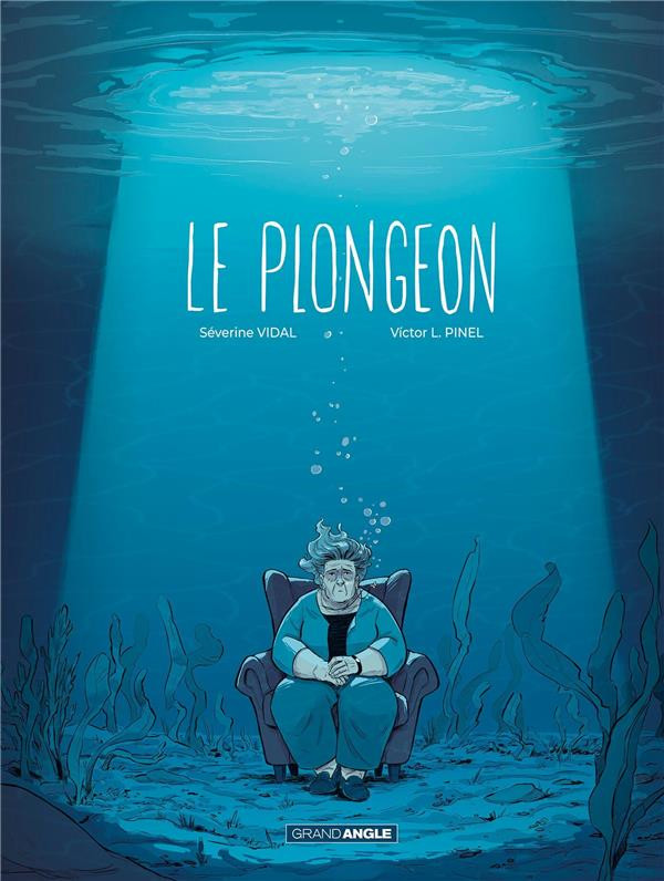 Couverture de l'album Le plongeon