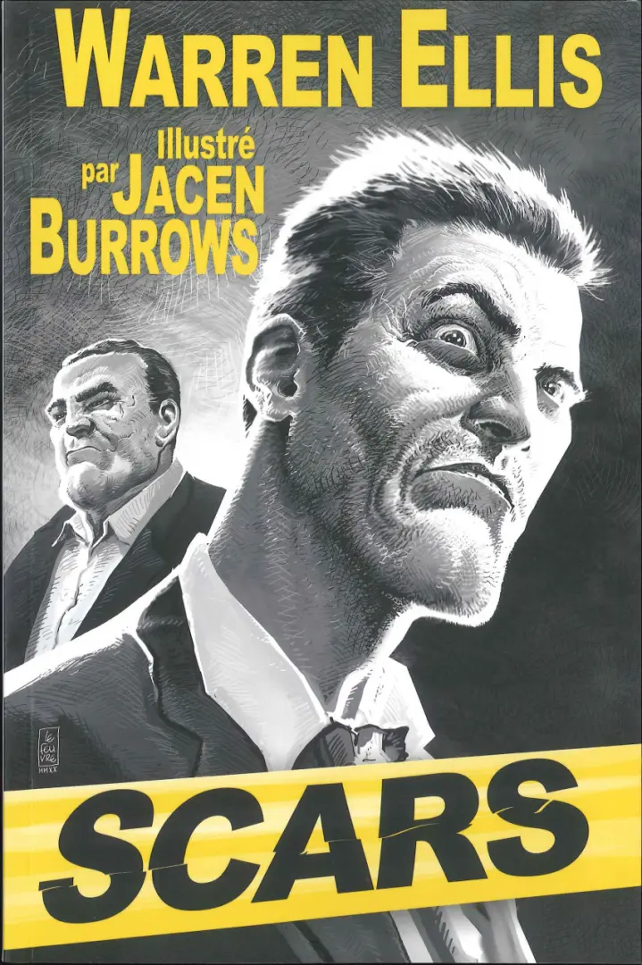 Couverture de l'album Scars