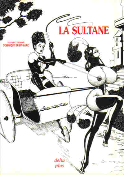 Couverture de l'album La Sultane