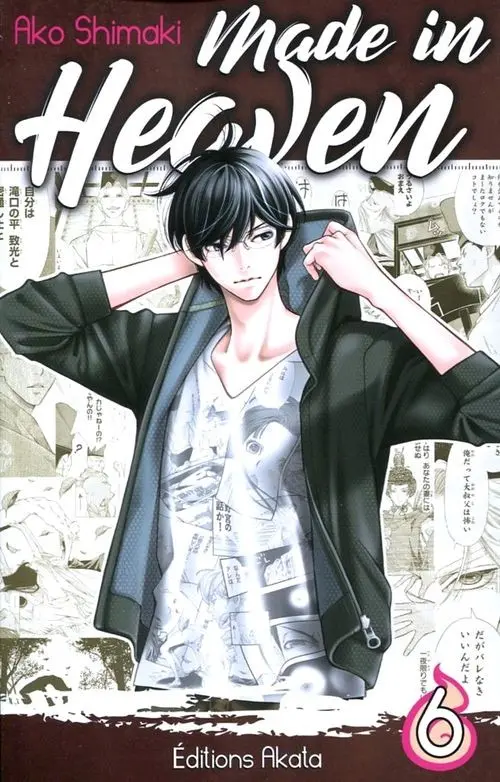 Couverture de l'album Made in Heaven 6