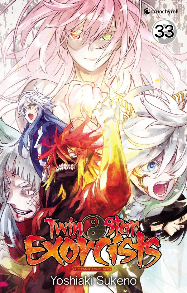 Couverture de l'album Twin Star Exorcists 33