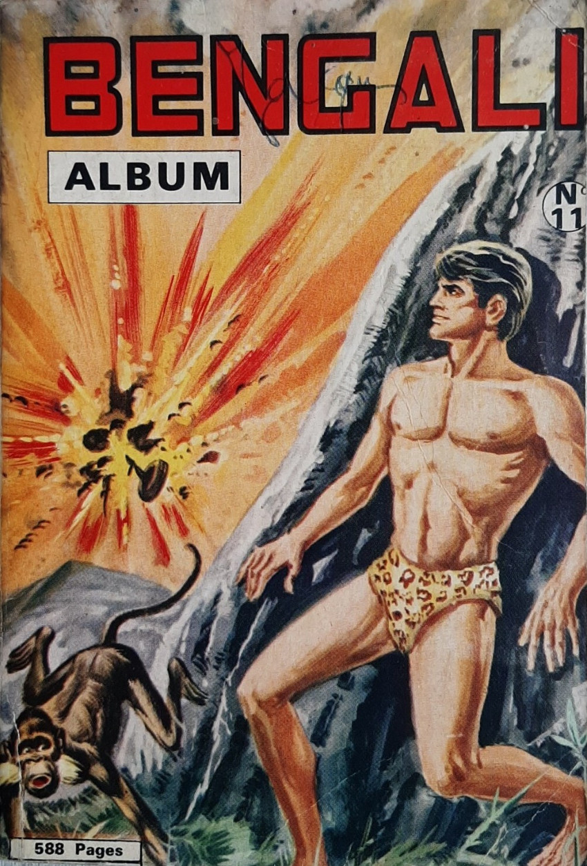 Couverture de l'album Bengali Album N° 11