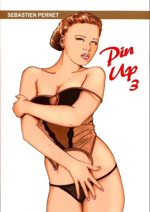 Couverture de l'album Pin Up 3