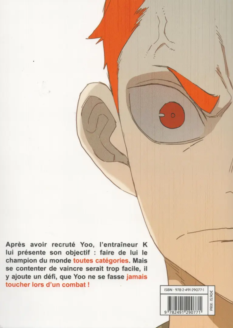 Verso de l'album The Boxer 2