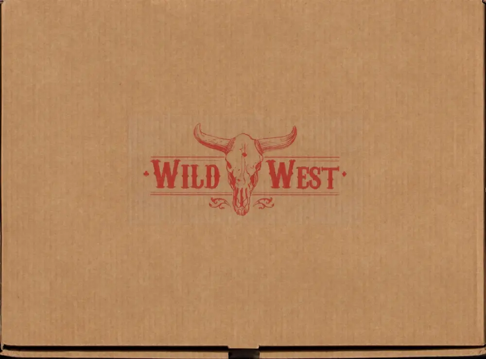 Autre de l'album Wild West Wild West