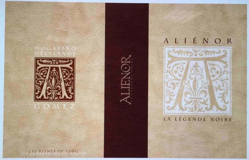 Couverture de l'album Les Reines de sang - Aliénor, la Légende noire Aliénor, la légende noire