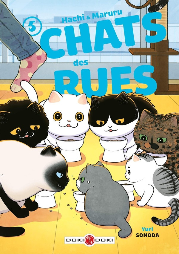 Couverture de l'album Hachi & Maruru - Chats des rues 5