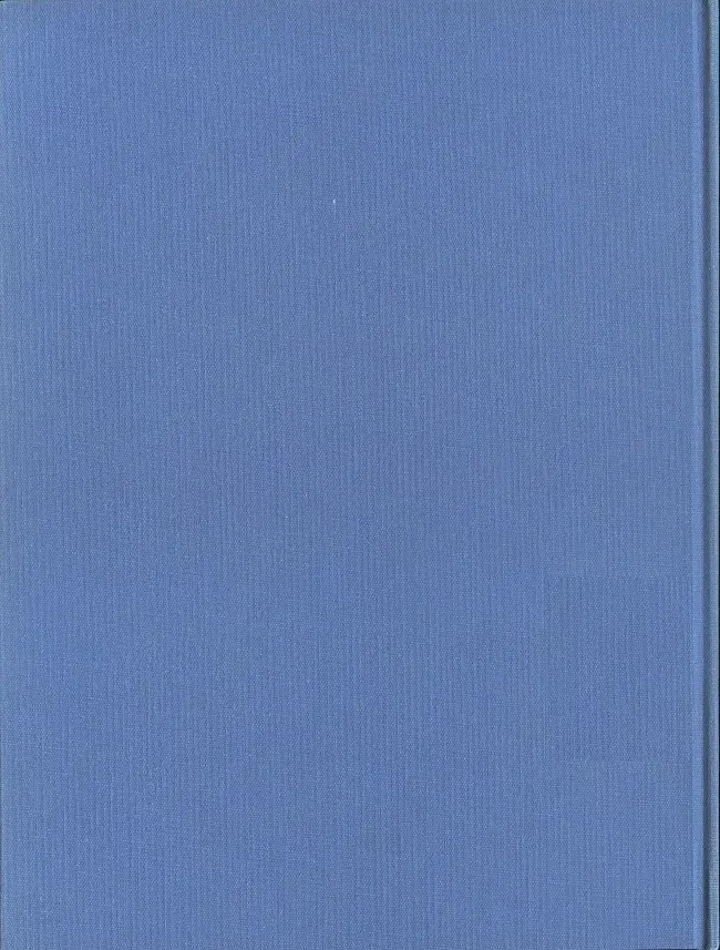 Verso de l'album Blueberry La tribu fantôme - La dernière carte