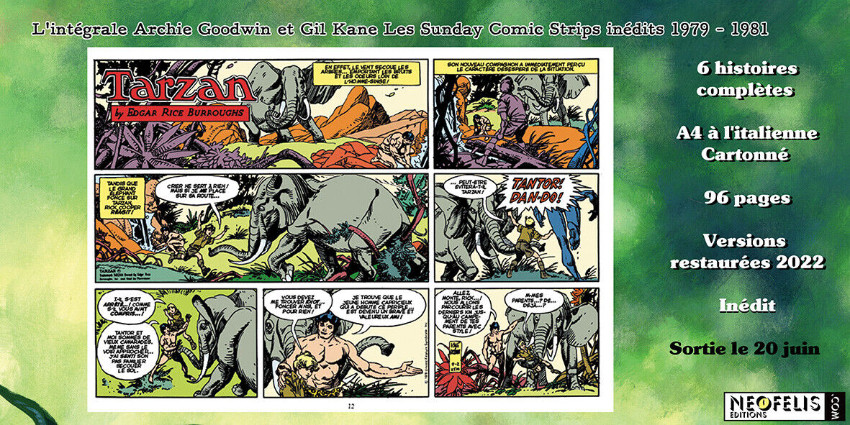 Verso de l'album Tarzan : Les Sunday Comic Strips inédits 1979-1984