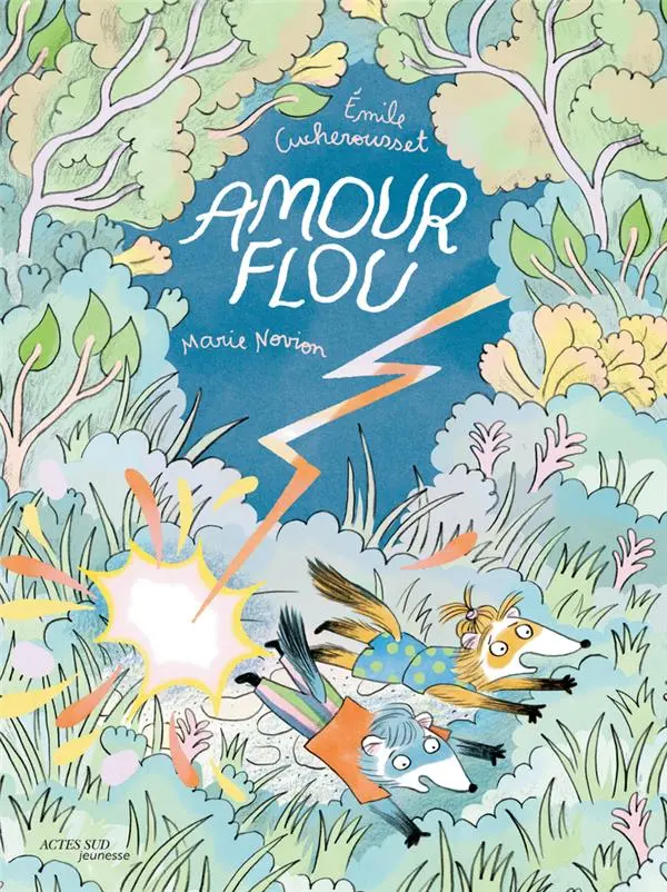 Couverture de l'album Amour flou