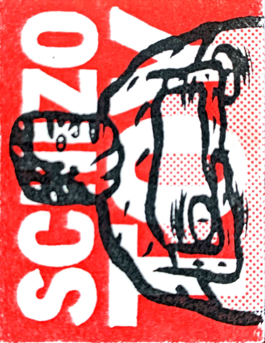 Couverture de l'album Schizotoy