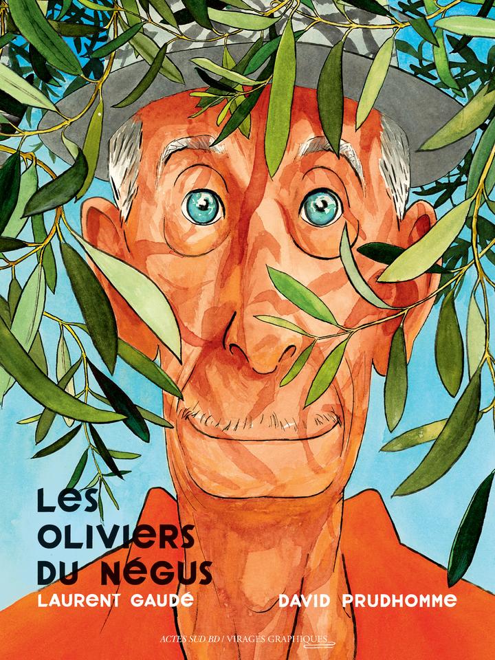 Couverture de l'album Les Oliviers du Négus