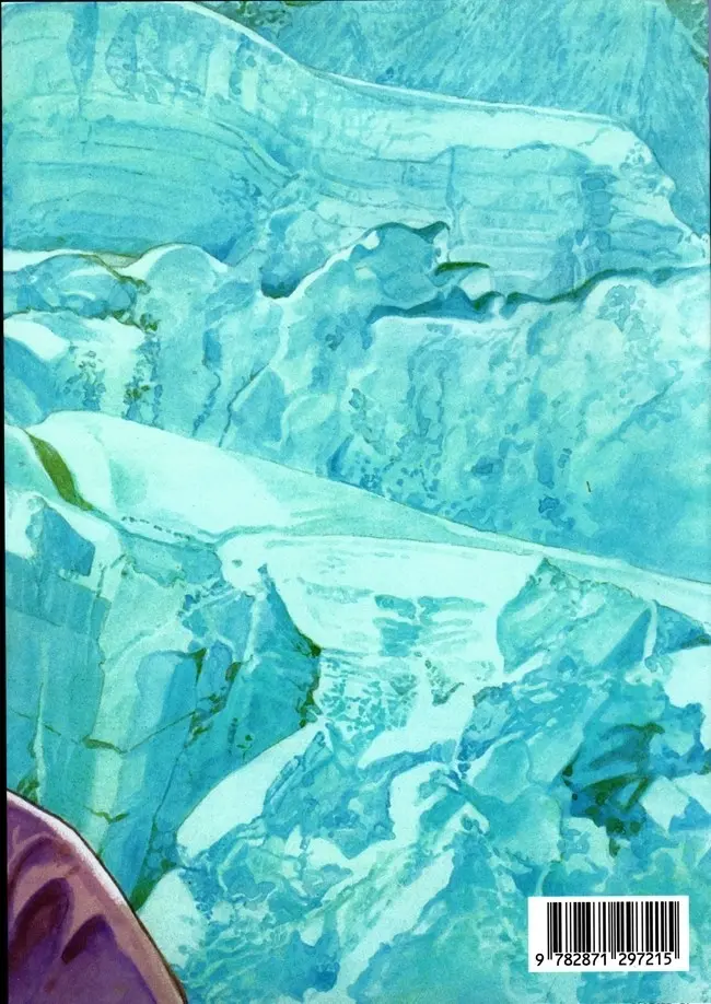 Verso de l'album Le Sommet des dieux 4
