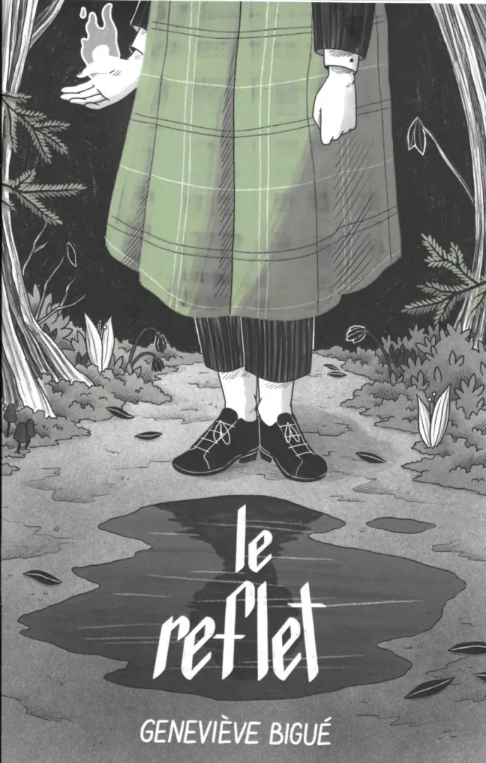 Couverture de l'album Le reflet