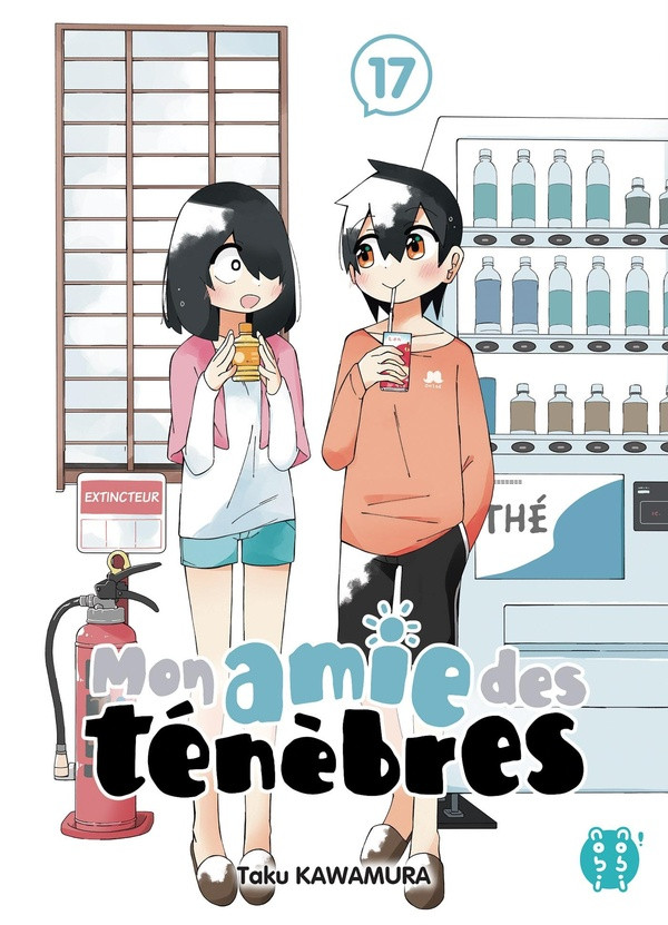 Couverture de l'album Mon amie des ténèbres 17