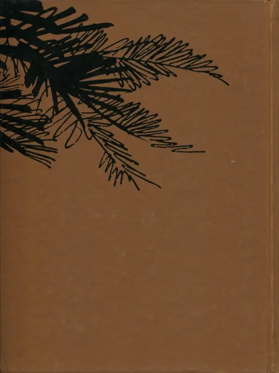 Verso de l'album Corto Maltese Sous le signe du capricorne - Corto toujours un peu plus loin