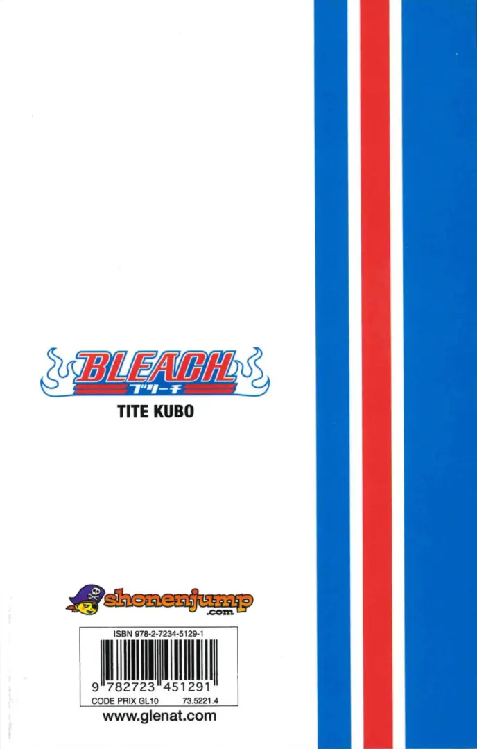 Verso de l'album Bleach Tome 11 A Star and a Stray Dog