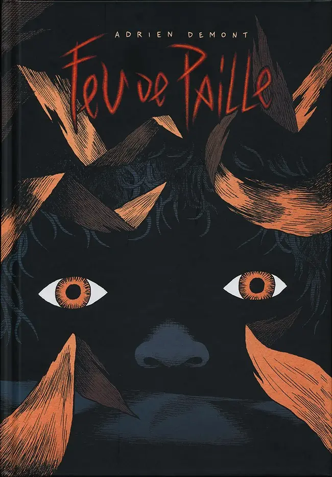 Couverture de l'album Feu de paille